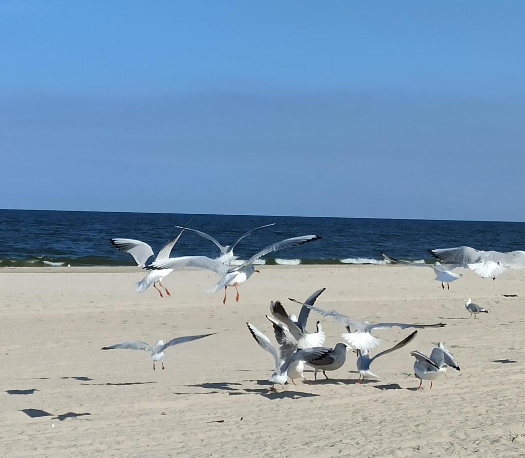 Ferienwohnung Strand25 Трассенхайде Экстерьер фото