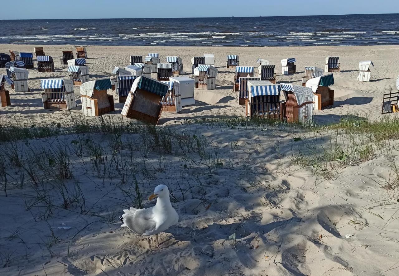 Ferienwohnung Strand25 Трассенхайде Экстерьер фото